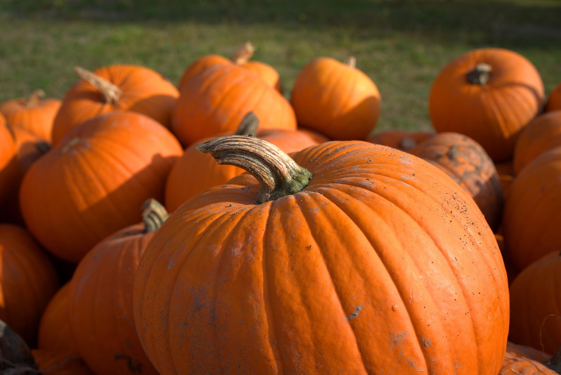 Halloween in Marbella 2026: Events & Experiences