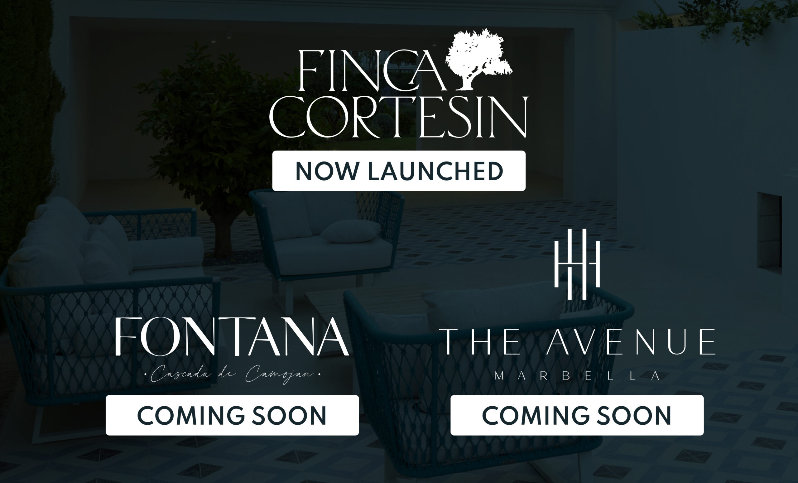 Our Latest Developments