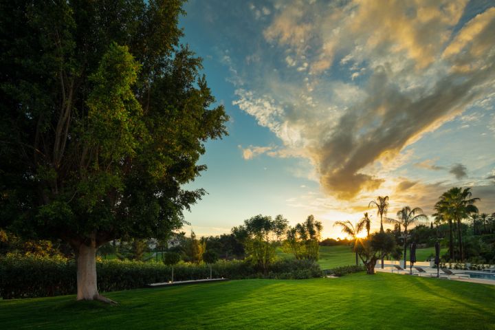 Villa Daniela - Contemporary Villa with Top-Tier Finishes in La Cerquilla