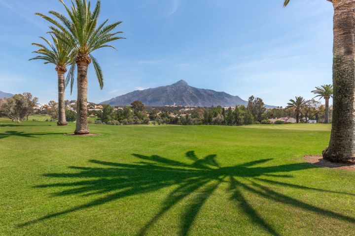 Stunning 3 bed apartment for rent in Nueva Andalucia - Modern Home with Andalusian Charm in Nueva Andalucia