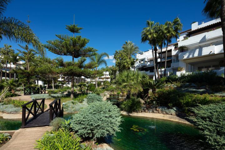 Dalia 1 - Modern Apartment with Andalusian Charm in Puente Romano