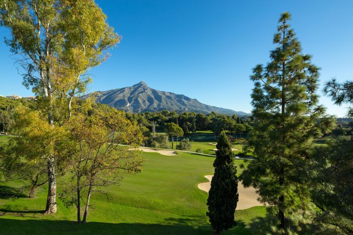 Villa Alaya - Unique Villa in Nueva Andalucía