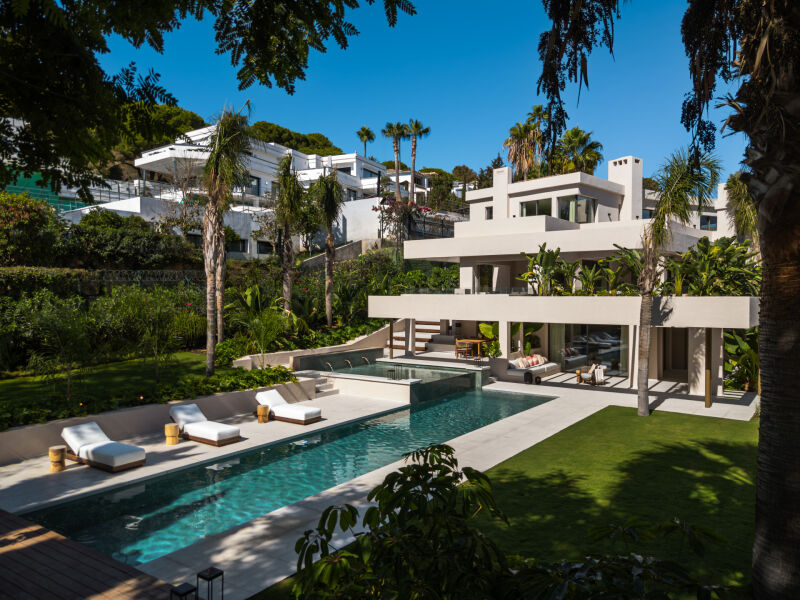 Nueva Andalucia villa with a pool, sun loungers and terrace surrounded by palms