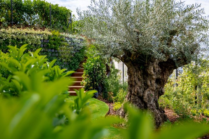 The Hills 12 - Marvelous Villa with Panoramic Views