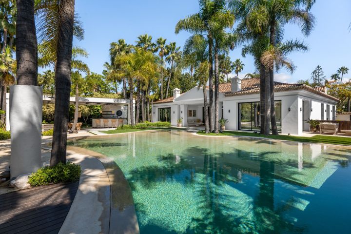 Casa Cenote - Property in Nueva Andalucia