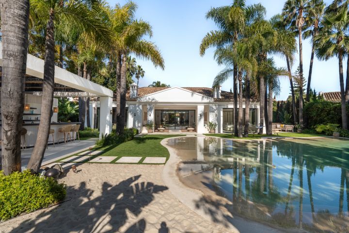 Casa Cenote - Property in Nueva Andalucia