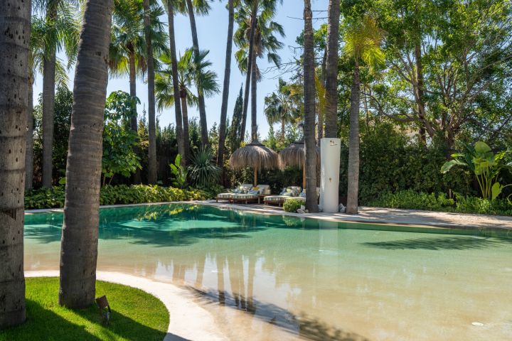 Casa Cenote - Property in Nueva Andalucia