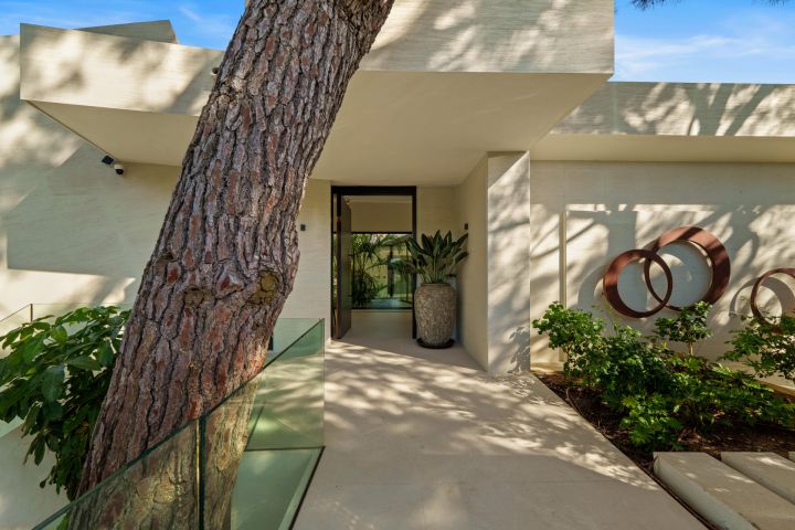 Las Chapas 5 - Unique Modern Villa with Eye-Catching Features
