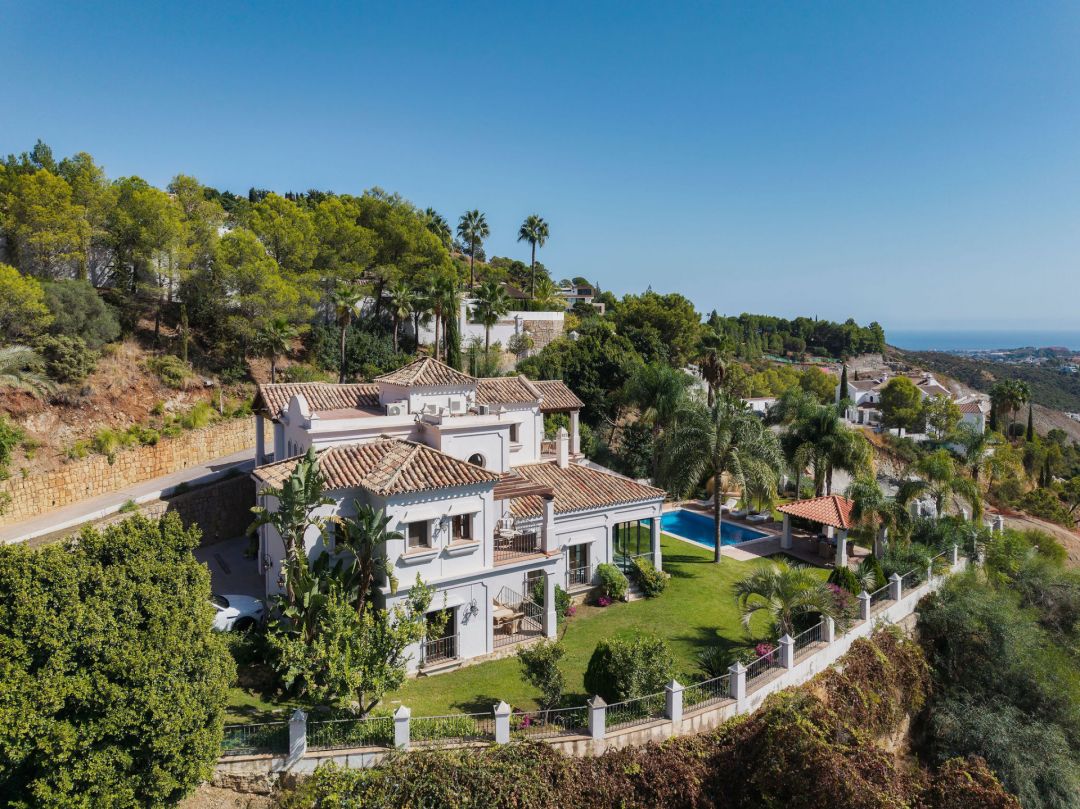 Villa Las Palmeras - Incredible Property in El Madroñal
