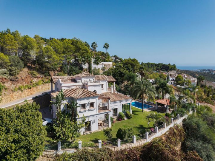 Villa Las Palmeras - Incredible Property in El Madroñal