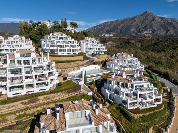 Nine Lions 331 - Stunning Duplex Penthouse