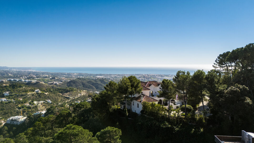 The Net - Parcelle à La Zagaleta - Parcelle orientée sud-est avec projet approuvé à La Zagaleta